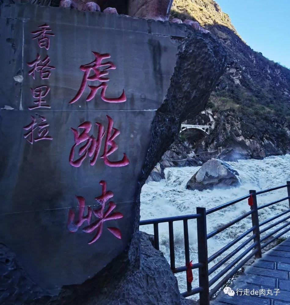 “寒冷的海岸”斯瓦尔巴,这里北极熊比人多 | 每日一图 狐瞰世界
